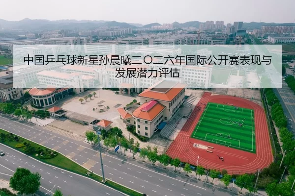 中国乒乓球新星孙晨曦二〇二六年国际公开赛表现与发展潜力评估